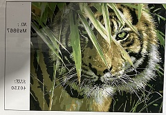 Картина по номерам Тигр
